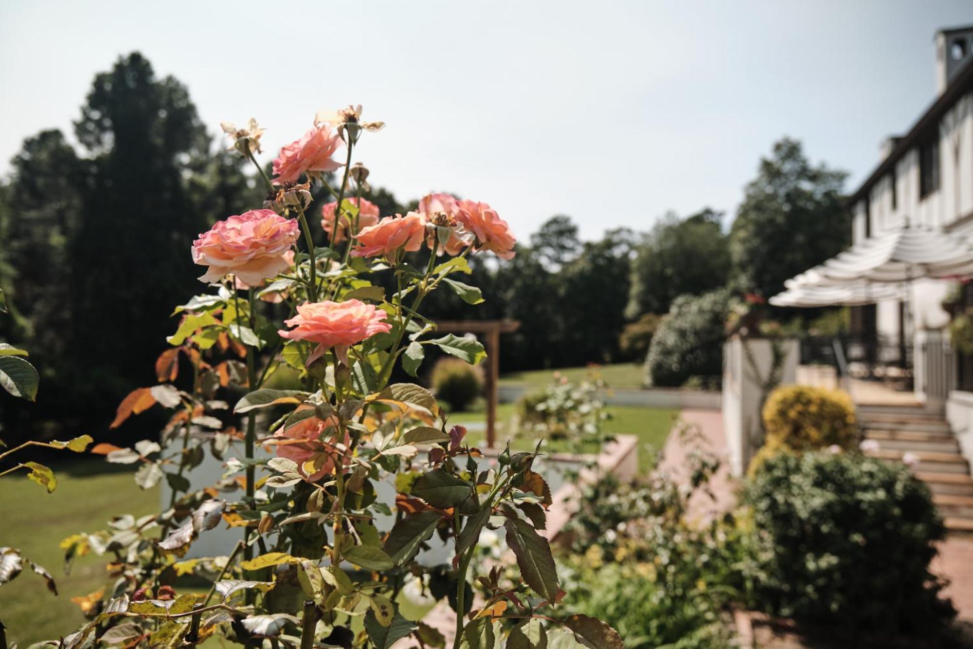 Bed and Breakfast Duncraig Manor à Southern Pines Extérieur photo